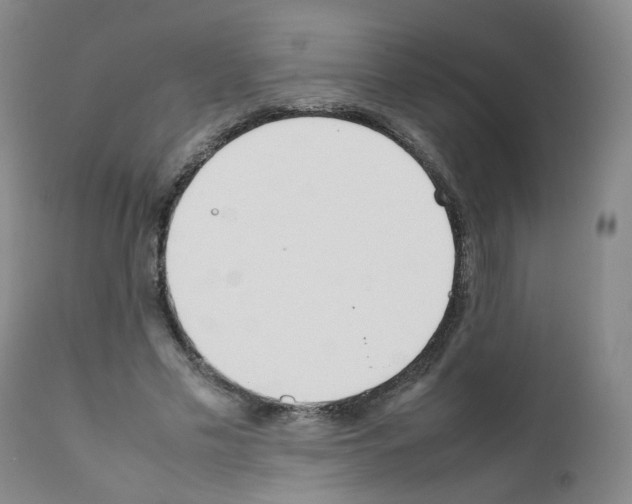 X0000111780589200909031135