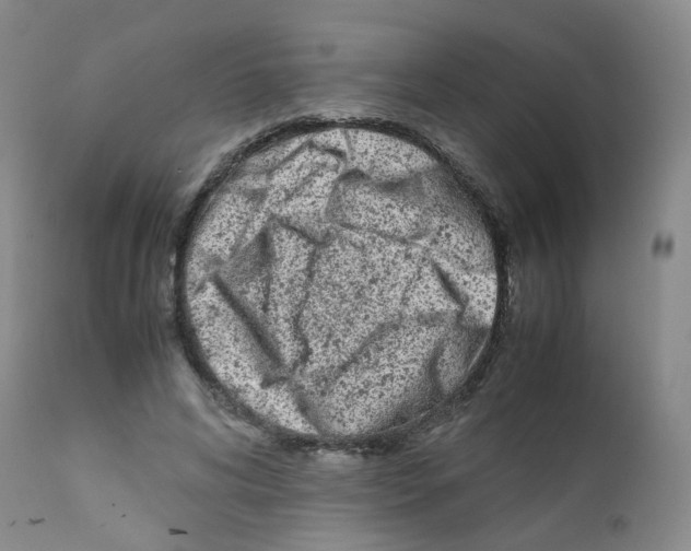 X0000111780592200909031135