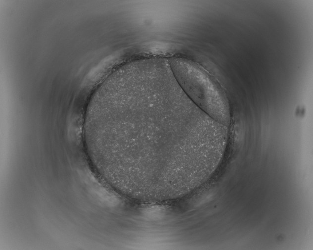 X0000111780593200909031135