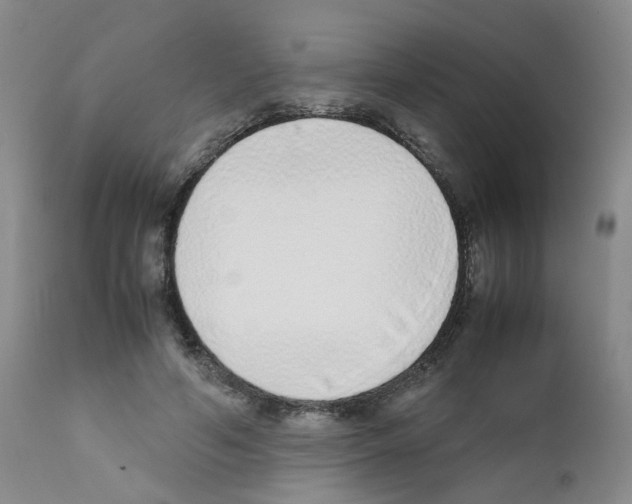X0000111780594200909031135