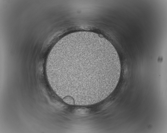 X0000111780595200909031135