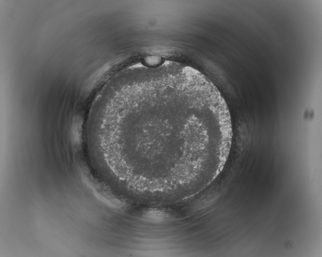 X0000111780596200909031135