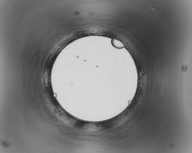 X0000111780597200909031135