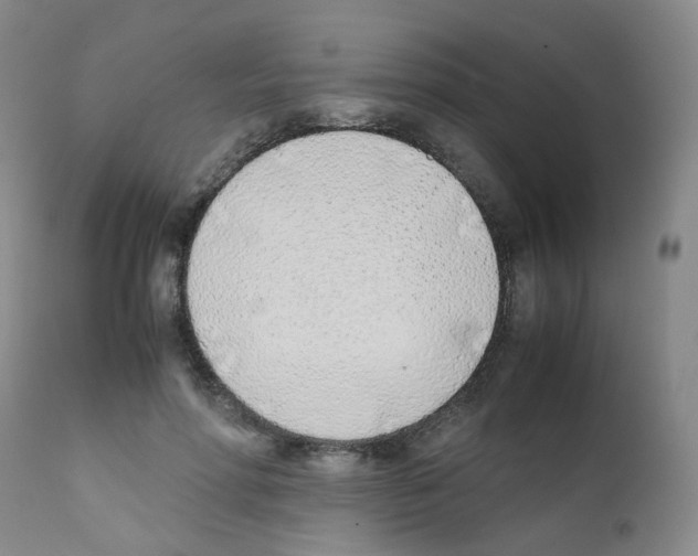 X0000111780598200909031135