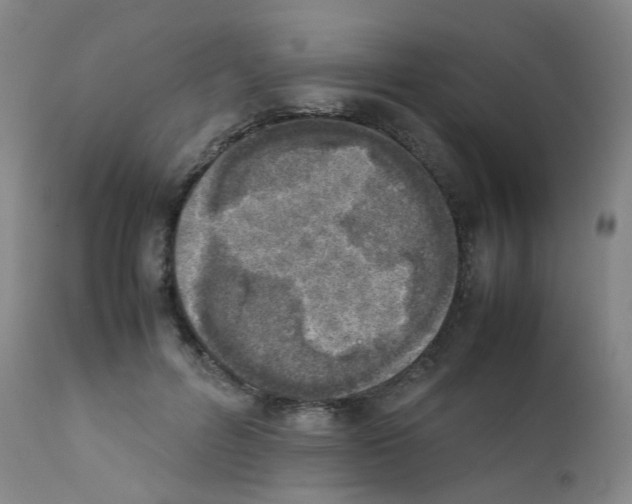 X0000111780600200909031135