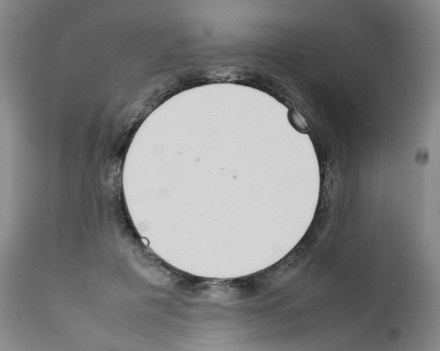 X0000111780601200909031135