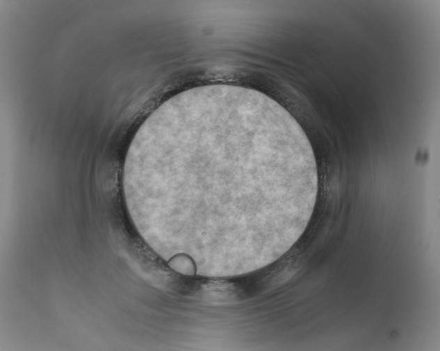 X0000111780603200909031135