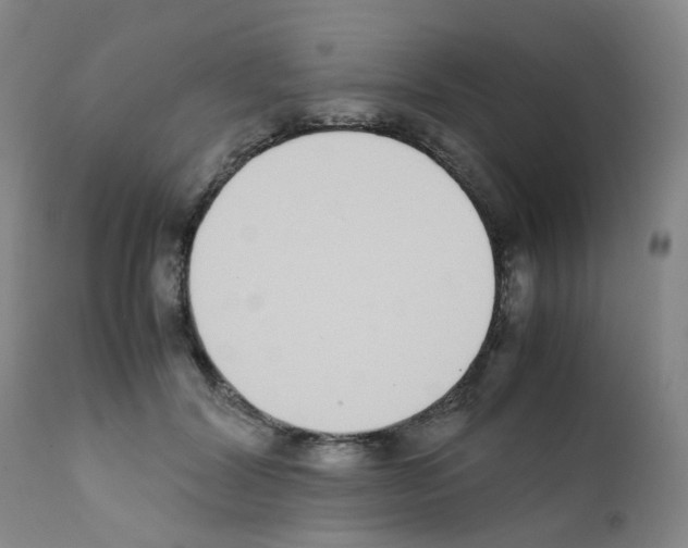 X0000111780604200909031135