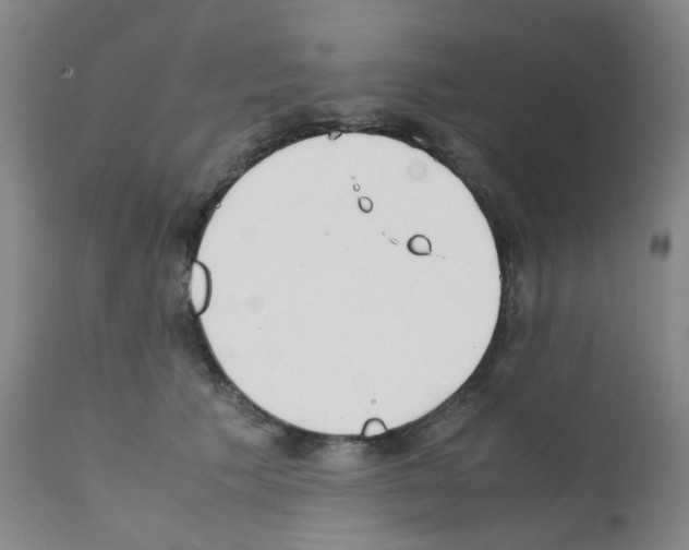 X0000111780609200909031135