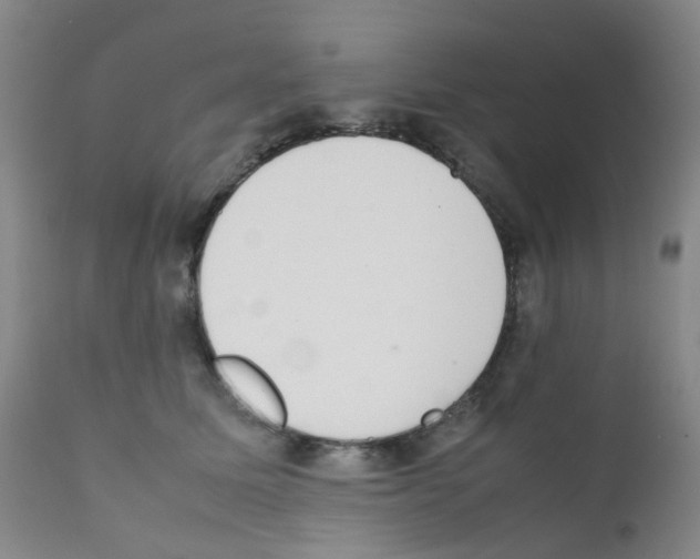 X0000111780611200909031135
