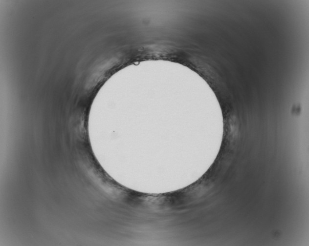 X0000111780615200909031135
