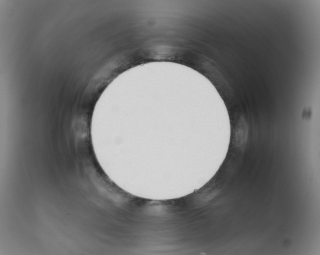 X0000111780620200909031135