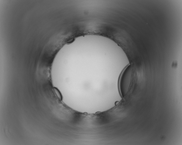 X0000111780621200909031135