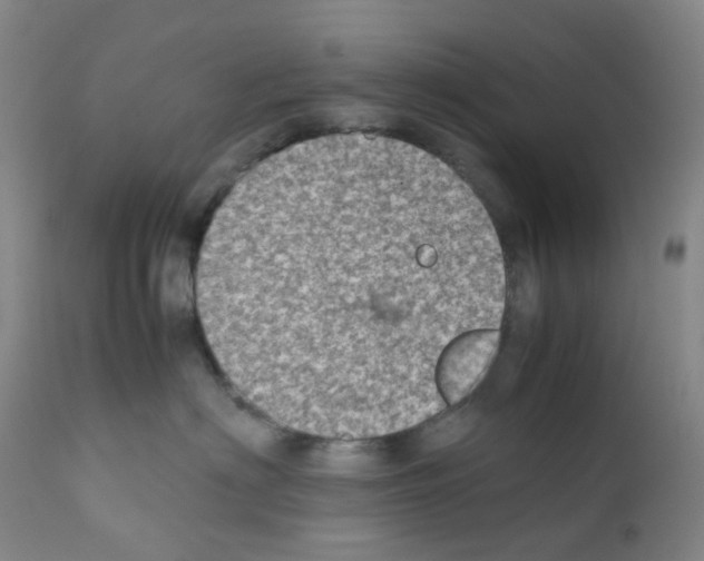 X0000111780622200909031135