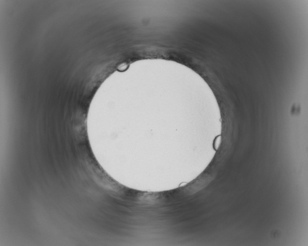 X0000111780624200909031134