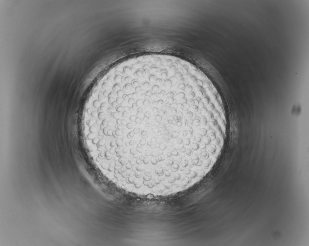 X0000111780626200909031134