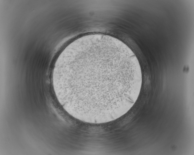 X0000111780628200909031134