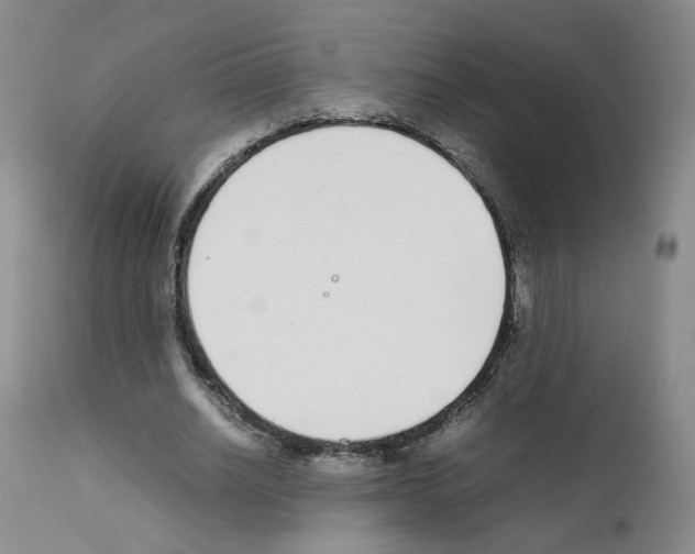 X0000111780630200909031134