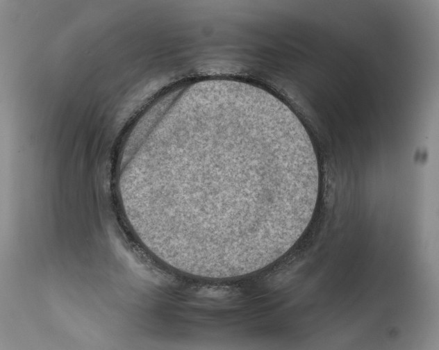 X0000111780631200909031134