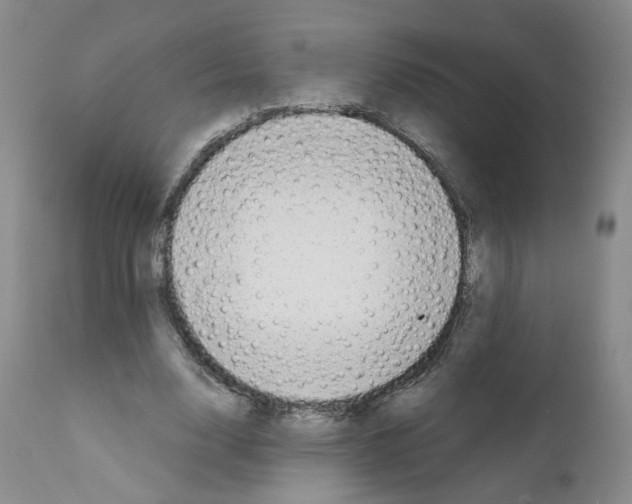 X0000111780632200909031134