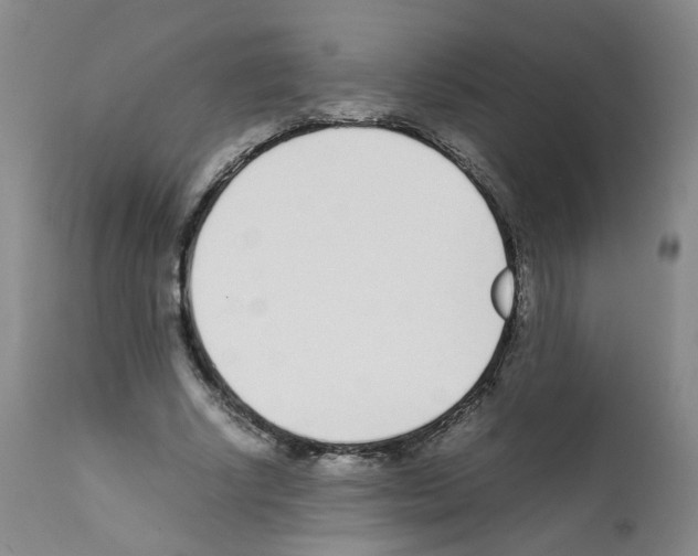 X0000111780634200909031134