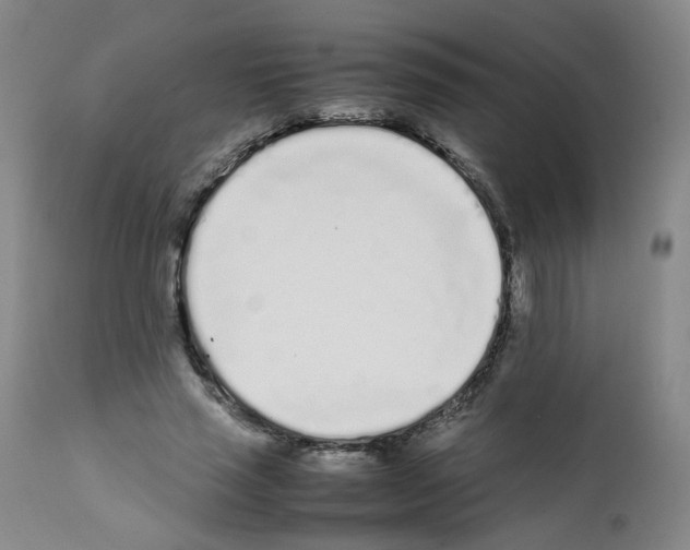 X0000111780637200909031134