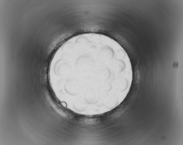 X0000111780638200909031134