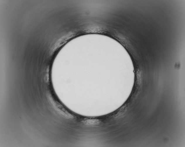 X0000111780642200909031134