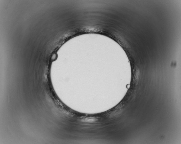 X0000111780643200909031134