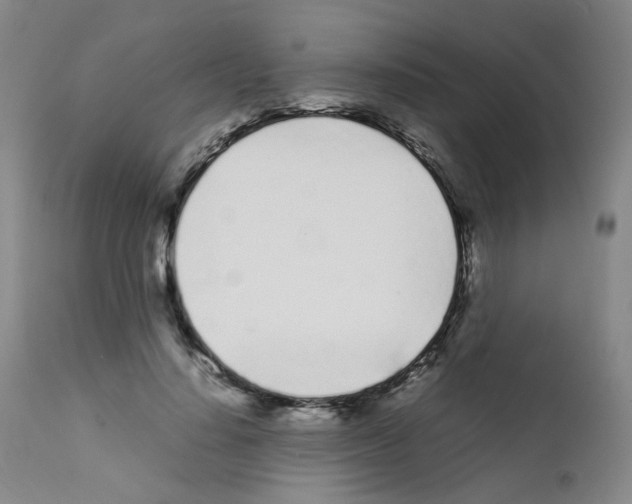 X0000111780644200909031134