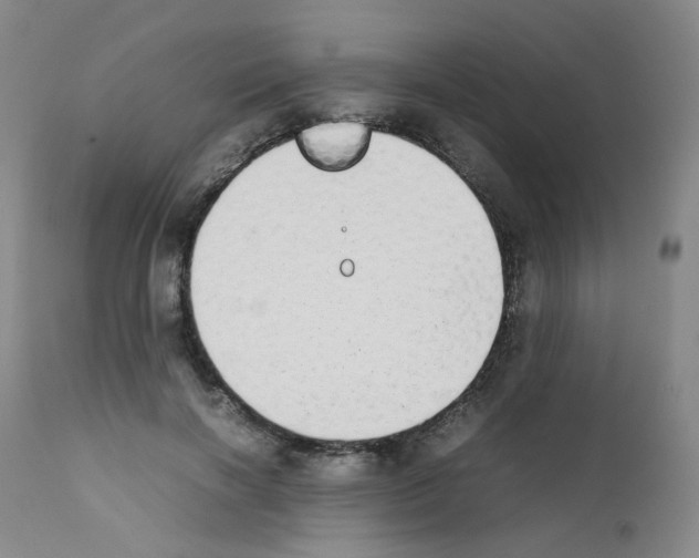 X0000111780646200909031134