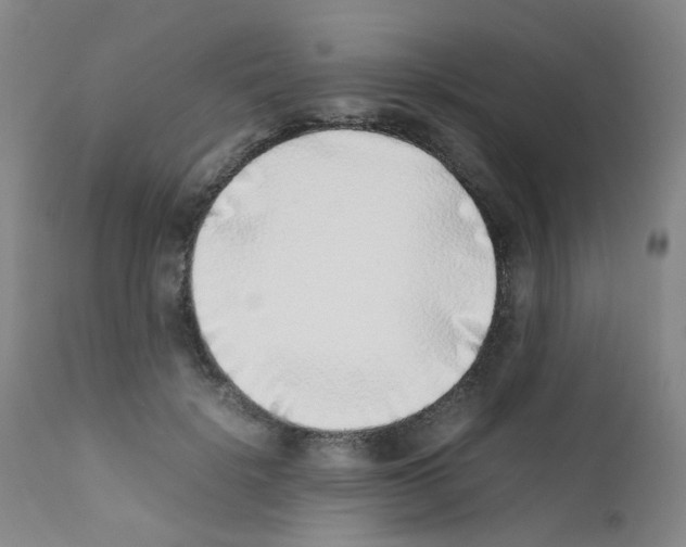 X0000111780652200909031134
