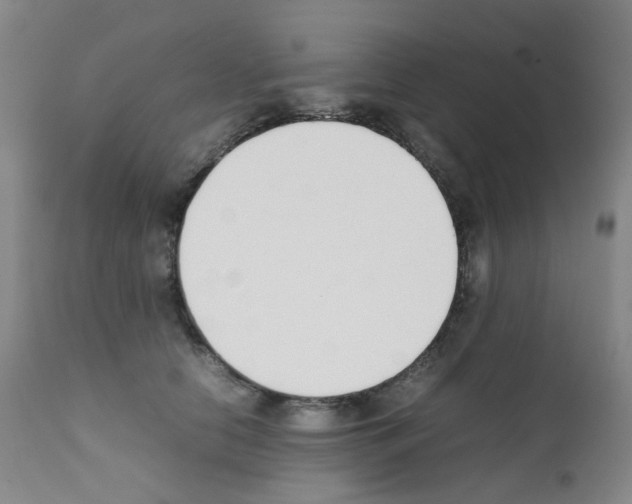 X0000111780658200909031134