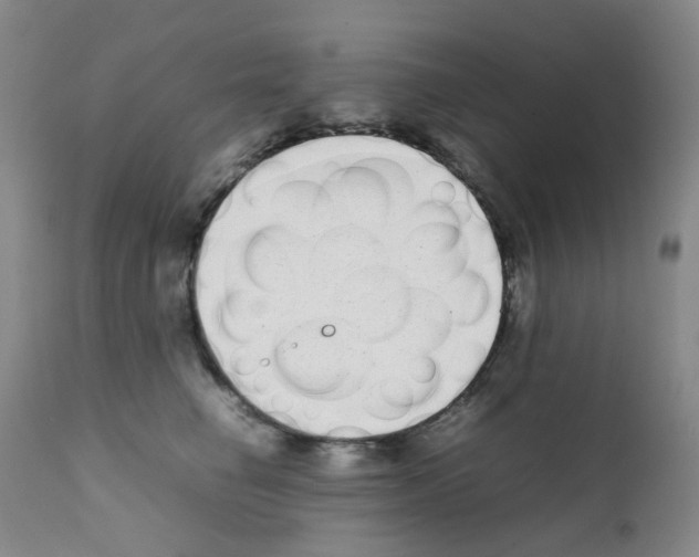 X0000111780662200909031134