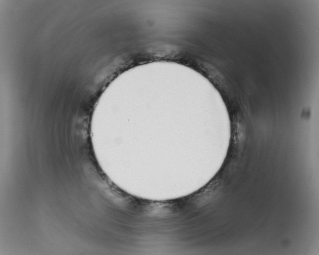 X0000111780664200909031134