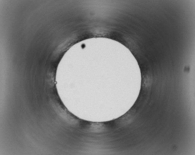 X0000111780666200909031134