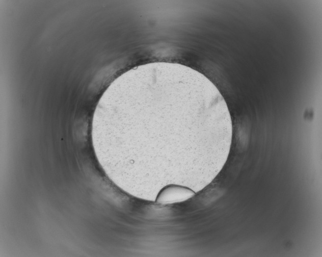 X0000111780668200909031134