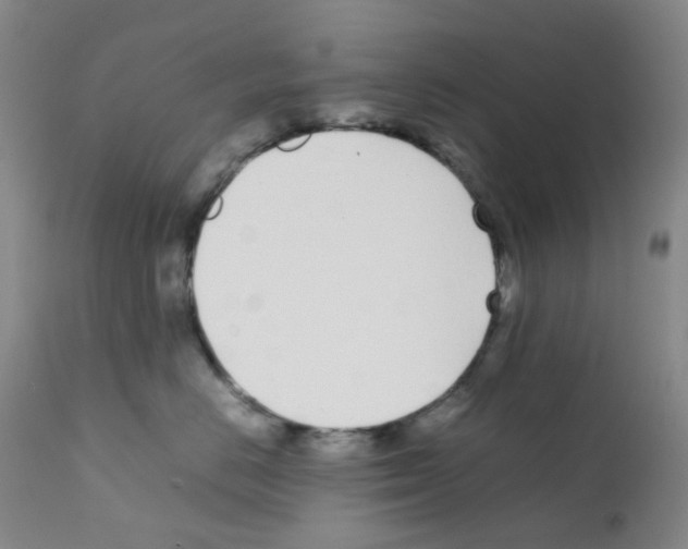 X0000111780670200909031134