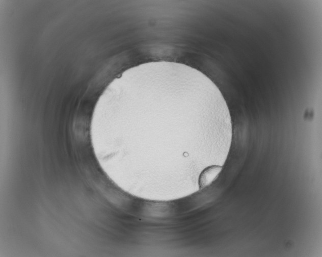 X0000111780671200909031134