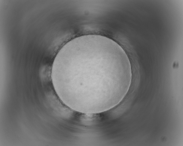 X0000111780672200909031134