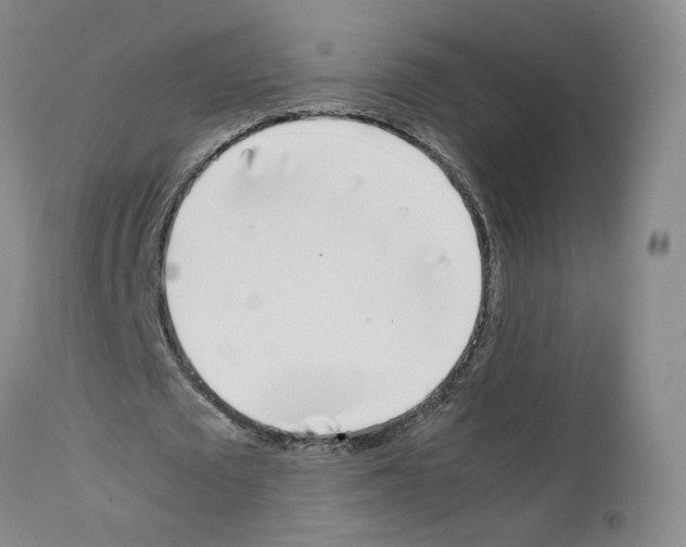 X0000111780673200909031134