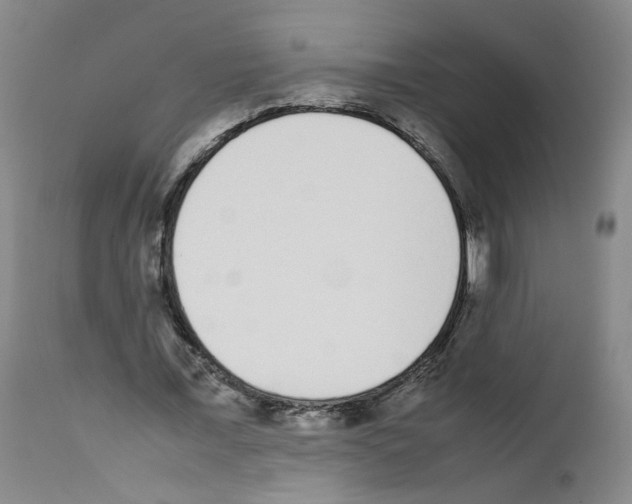 X0000111780675200909031134