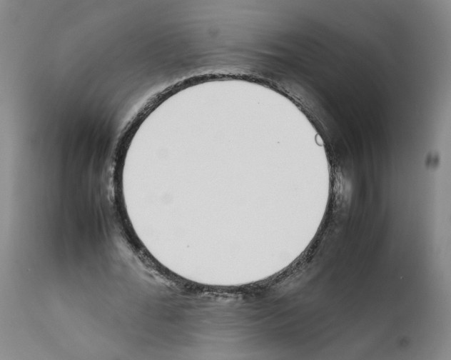 X0000111780676200909031134