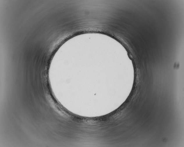 X0000111780677200909031134
