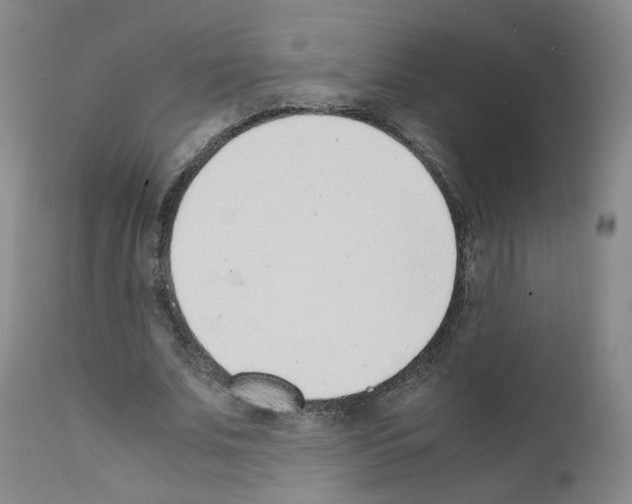 X0000111780679200909031134