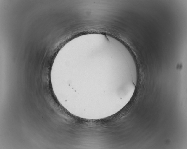 X0000111780681200909031134