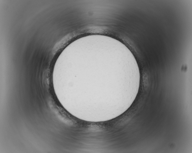 X0000111780682200909031134