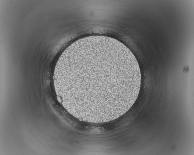 X0000111780683200909031134