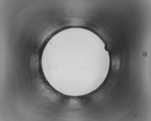 X0000111780684200909031134