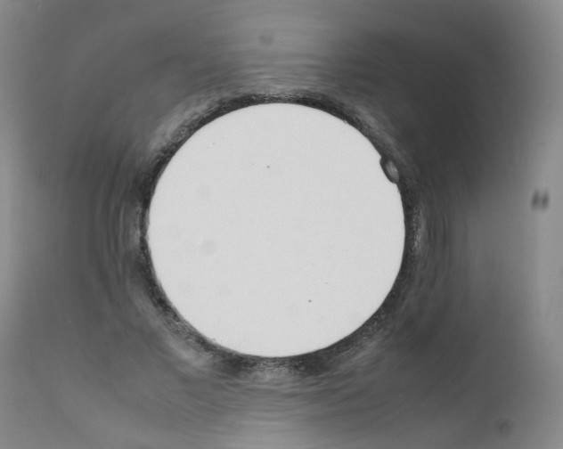 X0000111780685200909031134